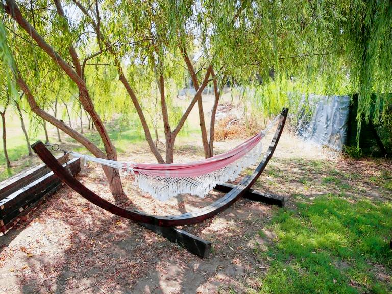 Farmhouse 'Appartamento Vicino Al Mare' with Private Garden, Wi-Fi and Air Conditioning — photo 2