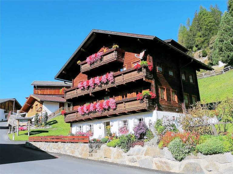 foto1