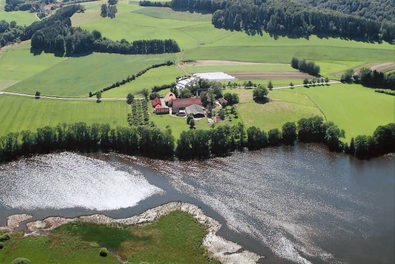 Ferienwohnung  Weingarten