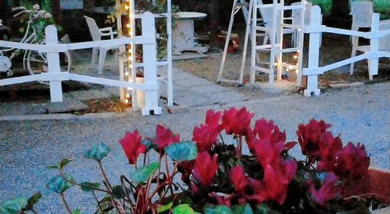Farm with garden — photo 4