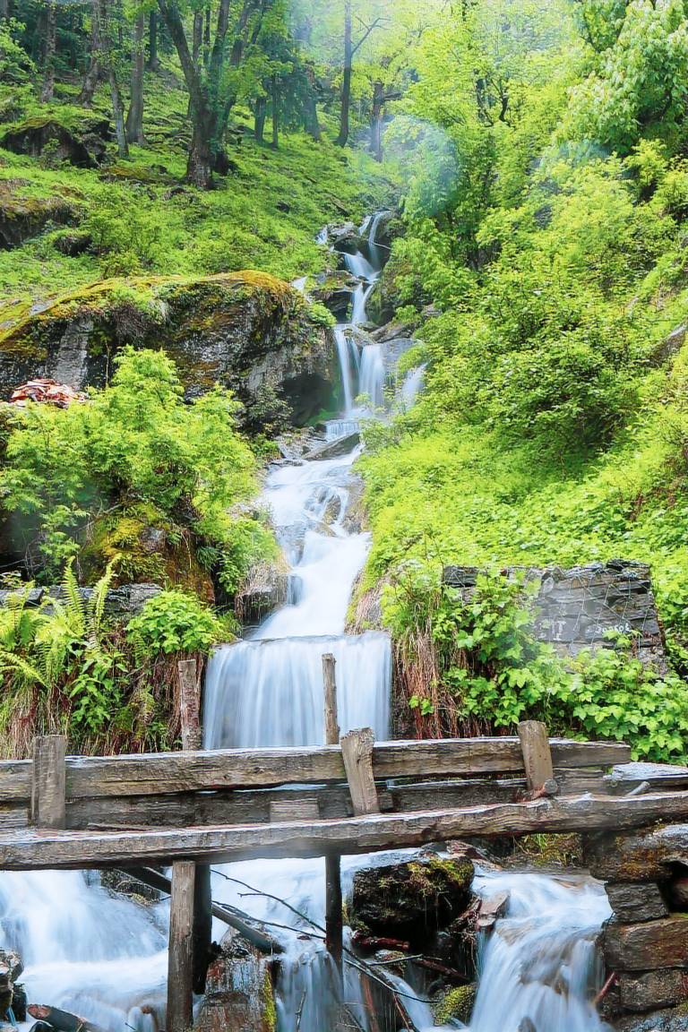 Kheerganga Hike Camps — photo 5