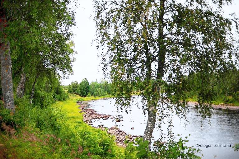 Appartement Comté de Norrbotten
