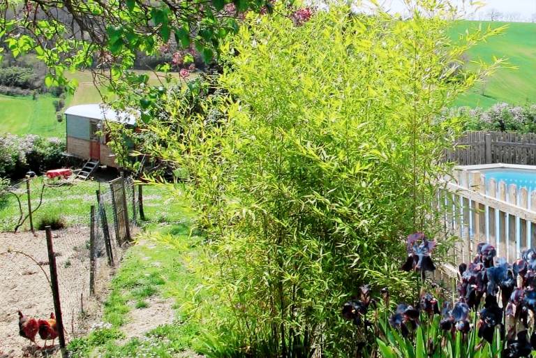 Delightful Caravan Rental with a Shared Pool for a Fabulous Vacation near Carcassonne, France — photo 5
