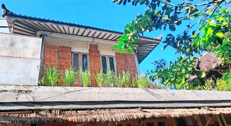 Farm with 1 room for 4 persons in Tegallalang