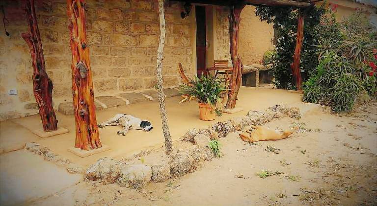 Li Casacci — photo 5