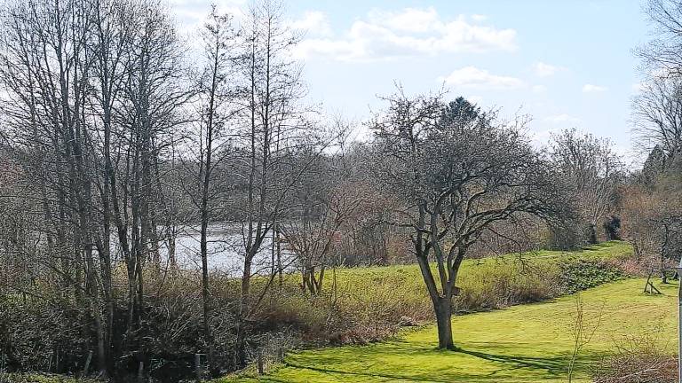 Ferienwohnung Seeblick — photo 4
