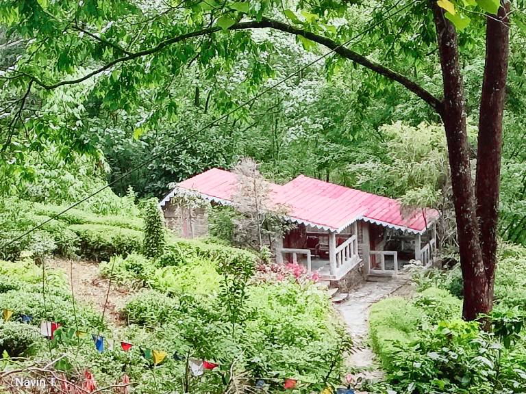 Children-friendly pleasant farm with grill, terrace & yard | Pets are welcome in Darjeeling
