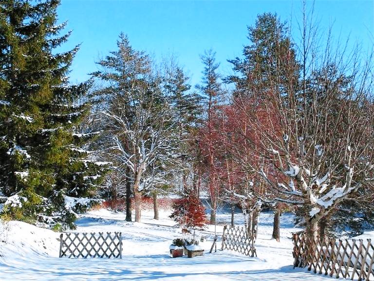 Cottage Le Chambon-sur-Lignon
