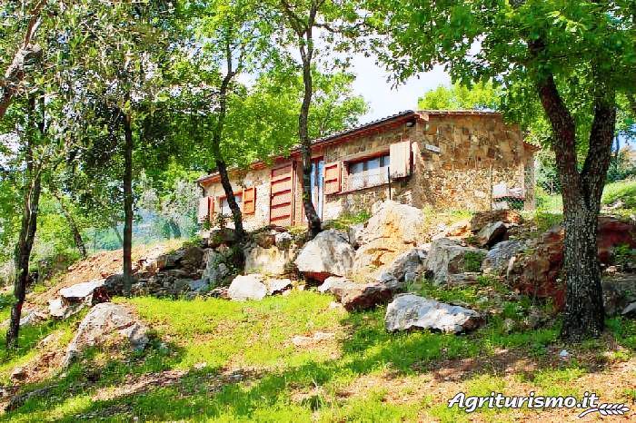 Casale Suvereto