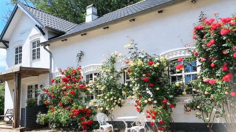 Ferienhaus Frydenlund