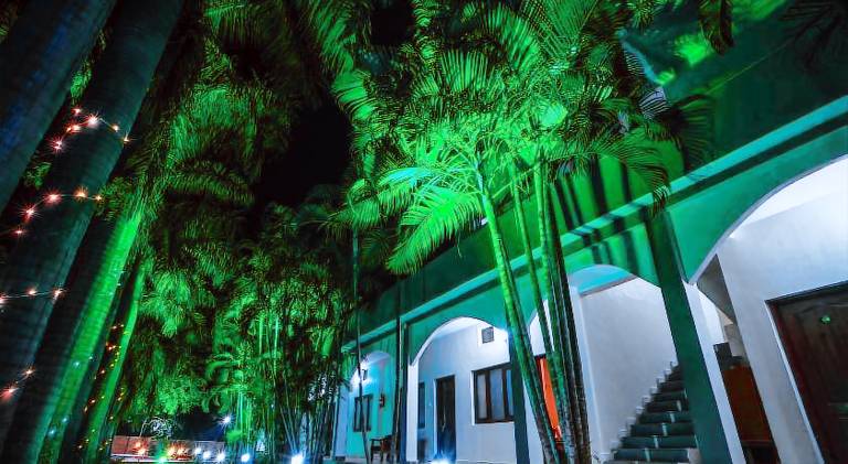 Hotel Jungle Palace — photo 4