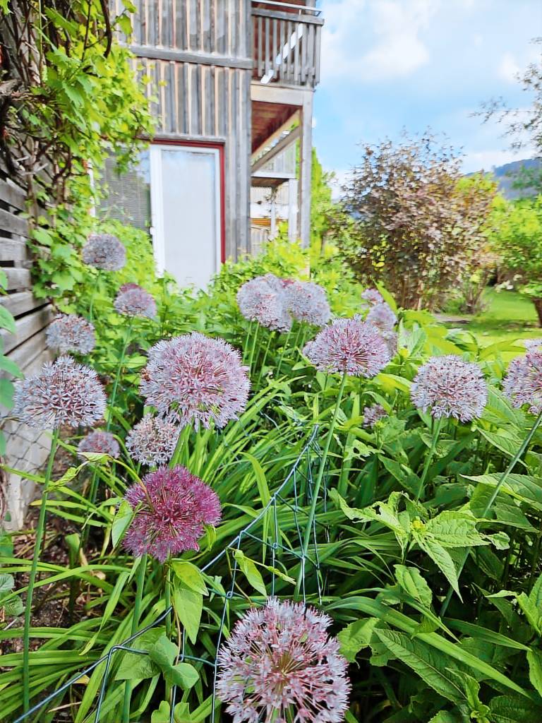 Children-friendly ample house with terrace & yard | Dogs allowed — photo 3