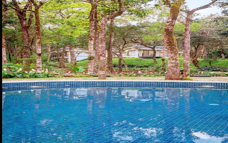 The Elakki Valley Eco Resorts. — photo 3
