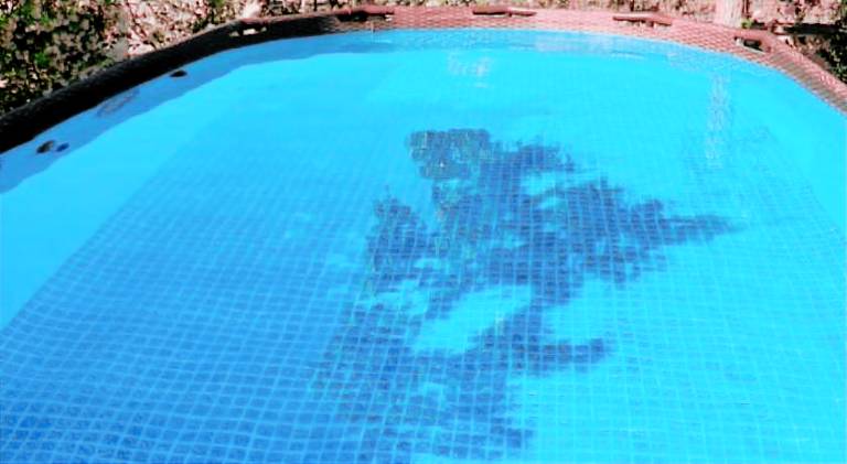 Villa with pool | Pet-friendly — photo 4