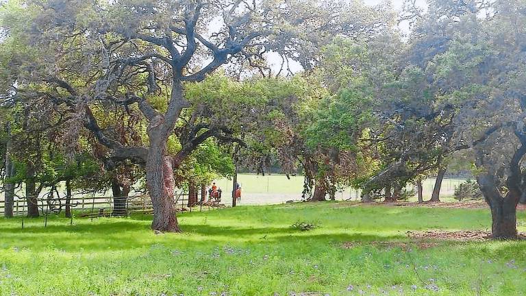 Cabin Boerne