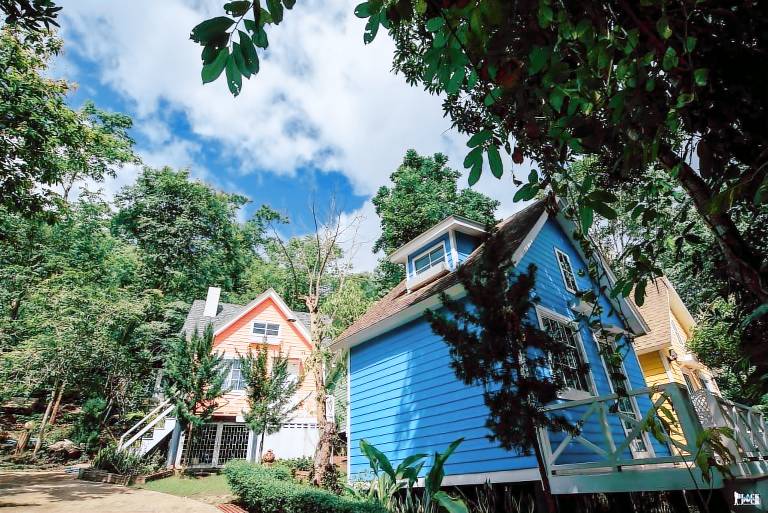 foto1