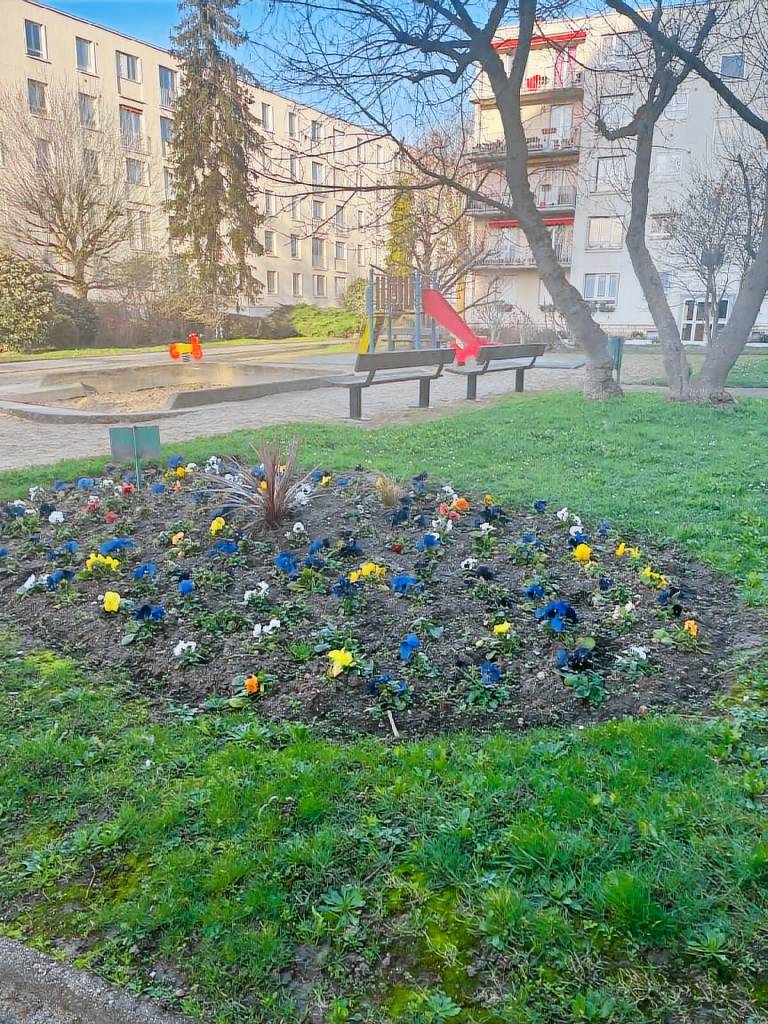 foto8