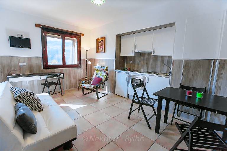 Aparthotel  Vergara