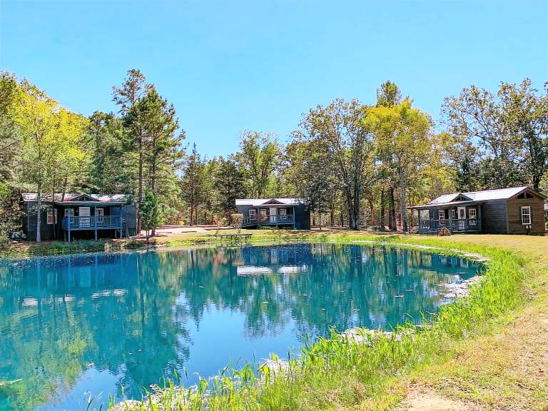 Cabin Leasburg