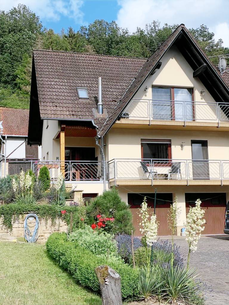 foto2