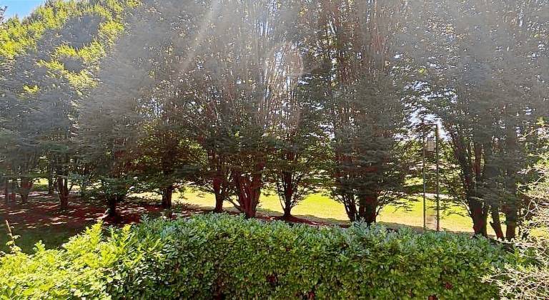 Lovely vacation home | Pets are welcome — photo 5