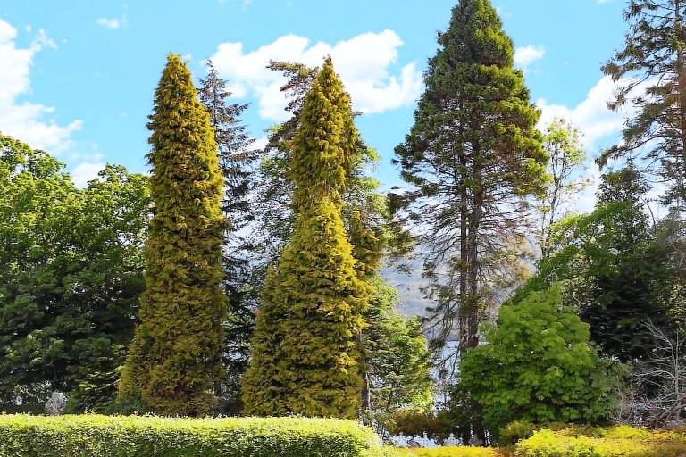House Fort Augustus