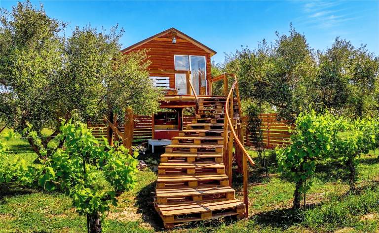 Agriturismo Vanato