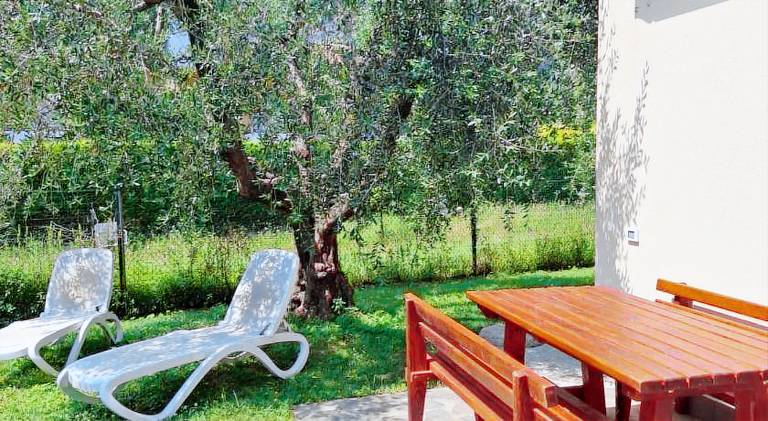 Lovely holiday apartment | Dogs allowed — photo 5