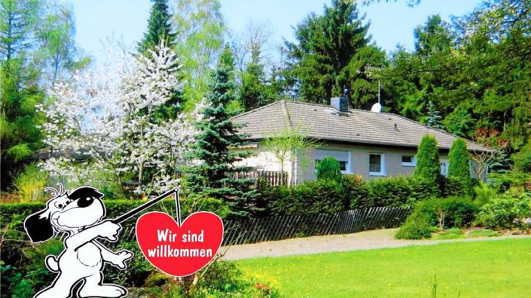 Ferienwohnung Diemelsee