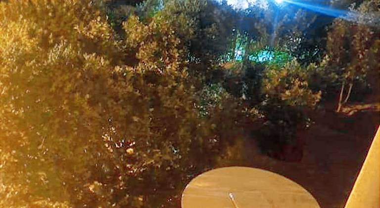 foto4