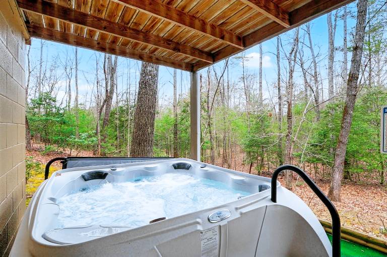 Cabin Blairsville