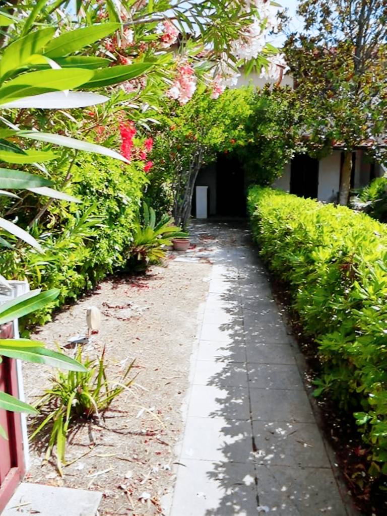 Holiday apartment with yard — photo 2