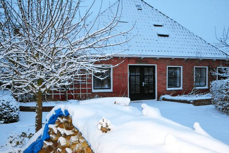 House with terrace, yard & grill | Pets are welcome — photo 4