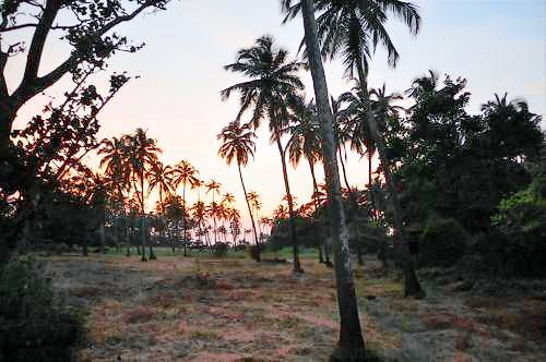 Bed and breakfast Ashvem Beach