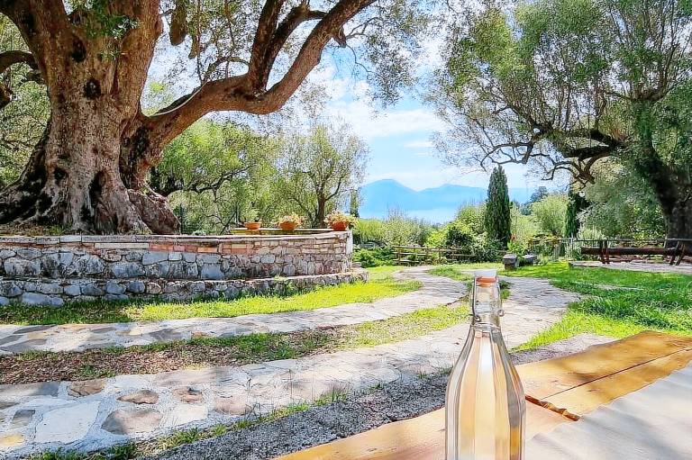 Agriturismo Torre Orsaia
