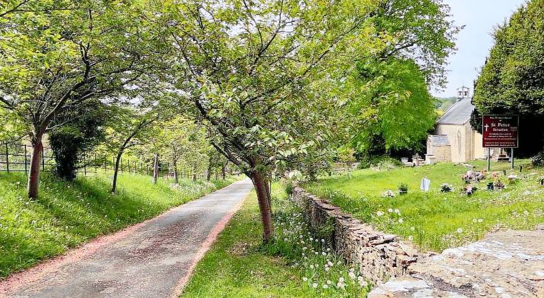 Pleasant house with garden | Suitable for remote work | Dogs allowed — photo 5