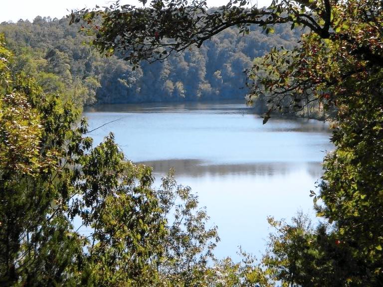 Cabin  Garland County