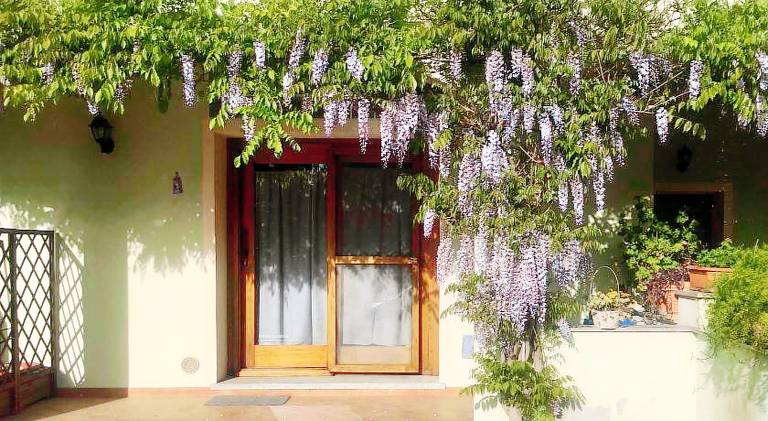 Holiday apartment with garden in Olbia