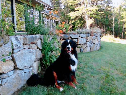 Bed and breakfast South Berwick