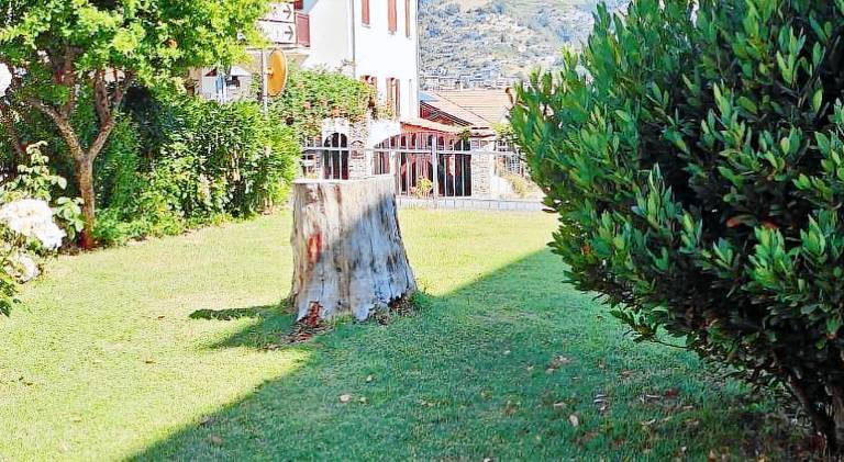 Holiday apartment | Pets are welcome — photo 4