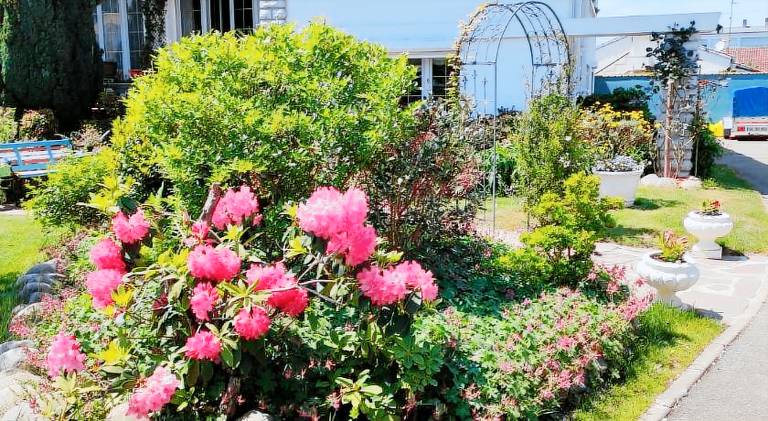 Chambre d'hotes Les Hortensias in Bizanos