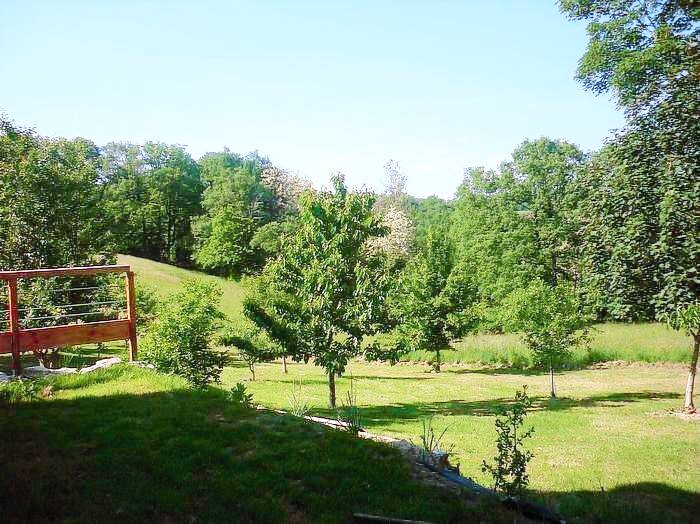 Family-friendly nice gite with terrace, yard & BBQ | Pets are welcome — photo 5