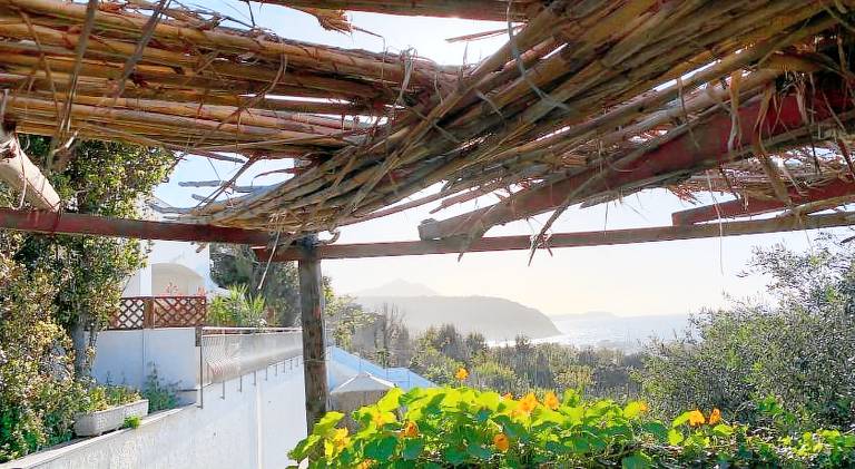 Holiday apartment | Beach nearby | Dogs allowed in Procida