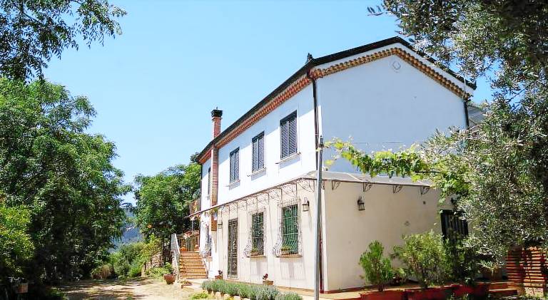 Le tre querce di casa mia in Castellabate