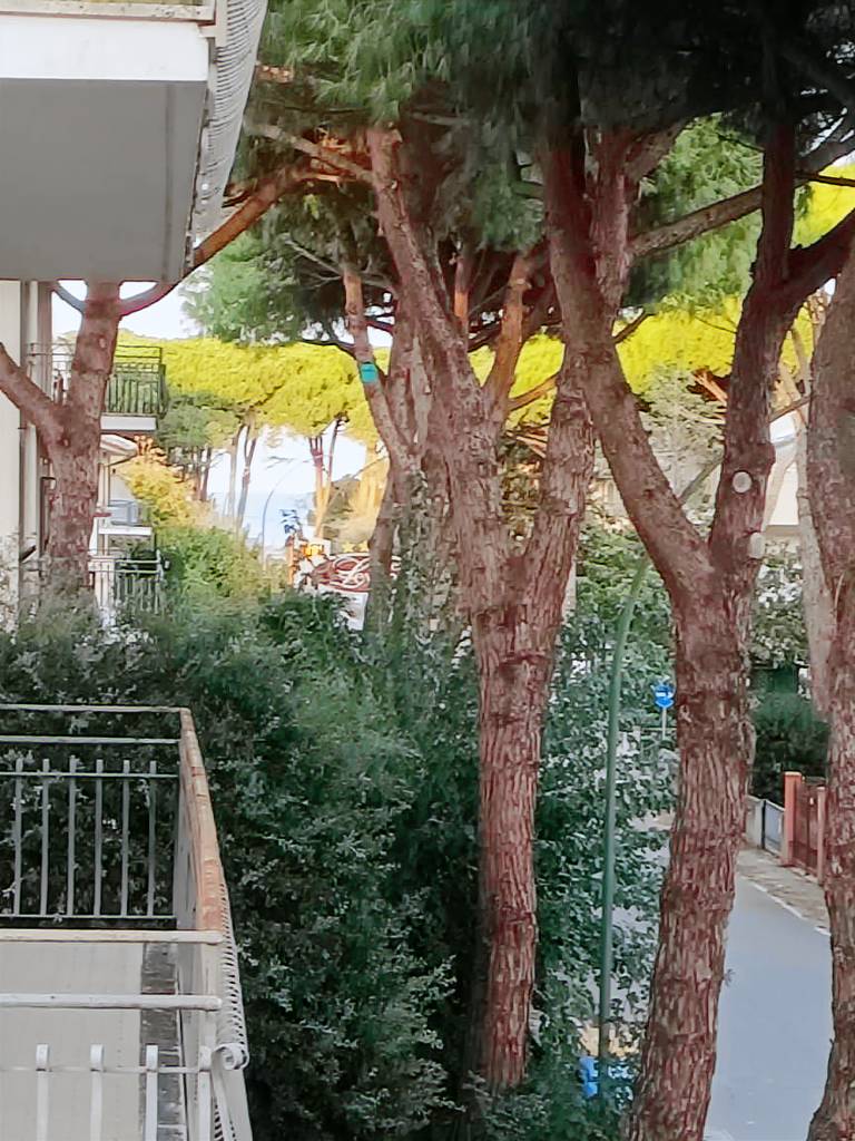 Appartamento Cervia
