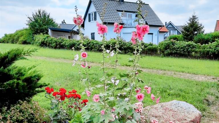 Ferienwohnung  Rosenhagen