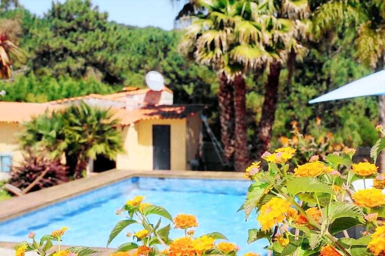 Casa O Grove