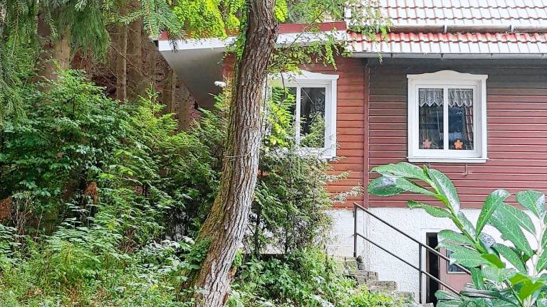 Ferienwohnung  Bad Grund