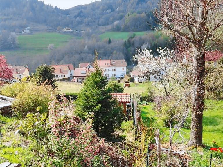 Chalet Saint-Maurice-sur-Moselle