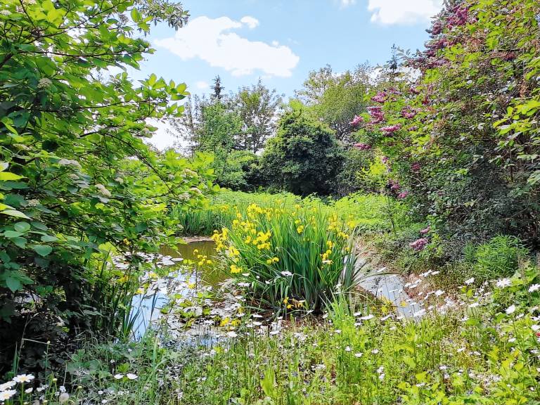 Children-friendly pleasant apartment with garden, barbecue & terrace | Pets are welcome — photo 3